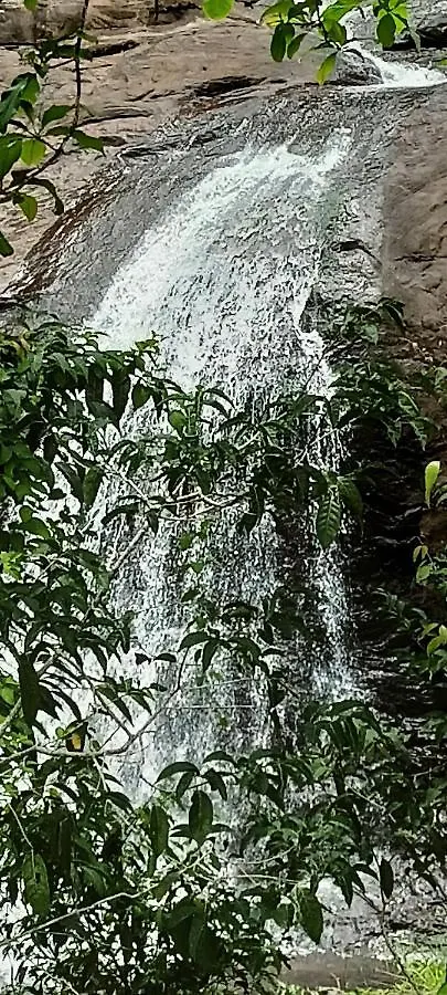 4 Acre Woods Farm Stay Munnar 0*,