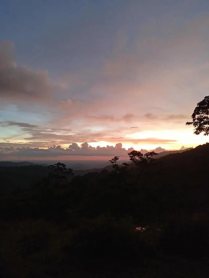 4 Acre Woods Farm Stay Munnar Holiday home